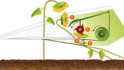 Жатка для збирання соняшника